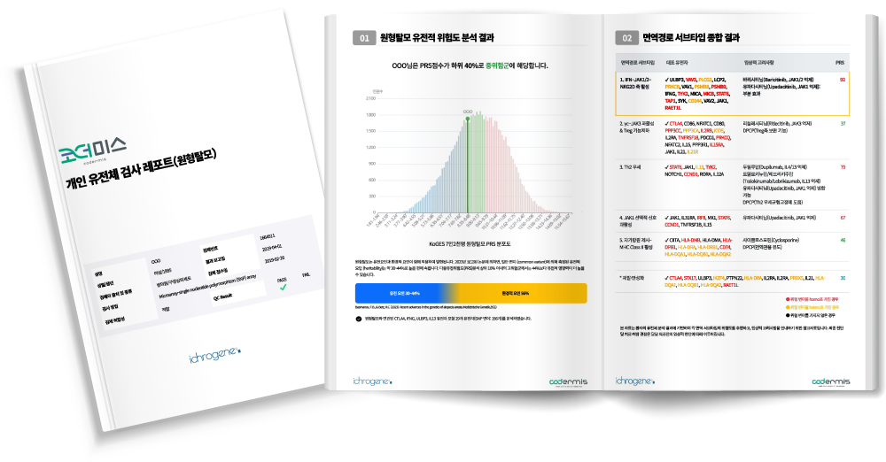 코더미스 결과리포트 샘플 웹용